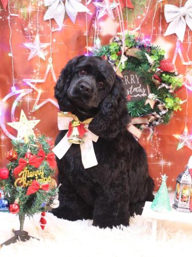 20231207天ちゃん